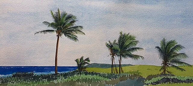 Bookie's Beach, Little Harbor, Bahamas
