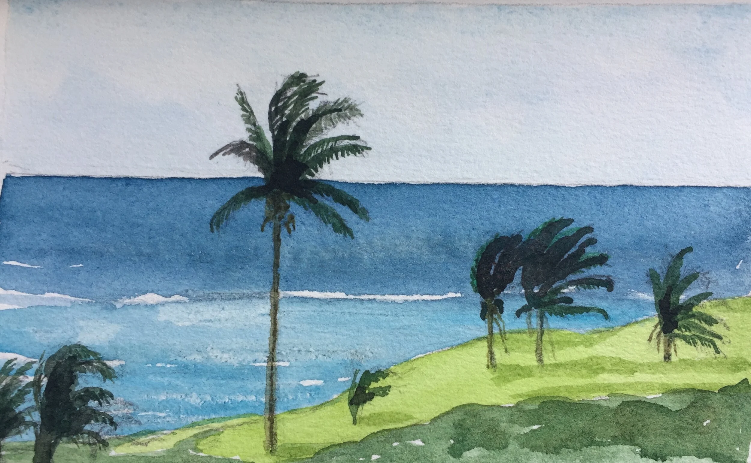 Study for Bookie's Beach