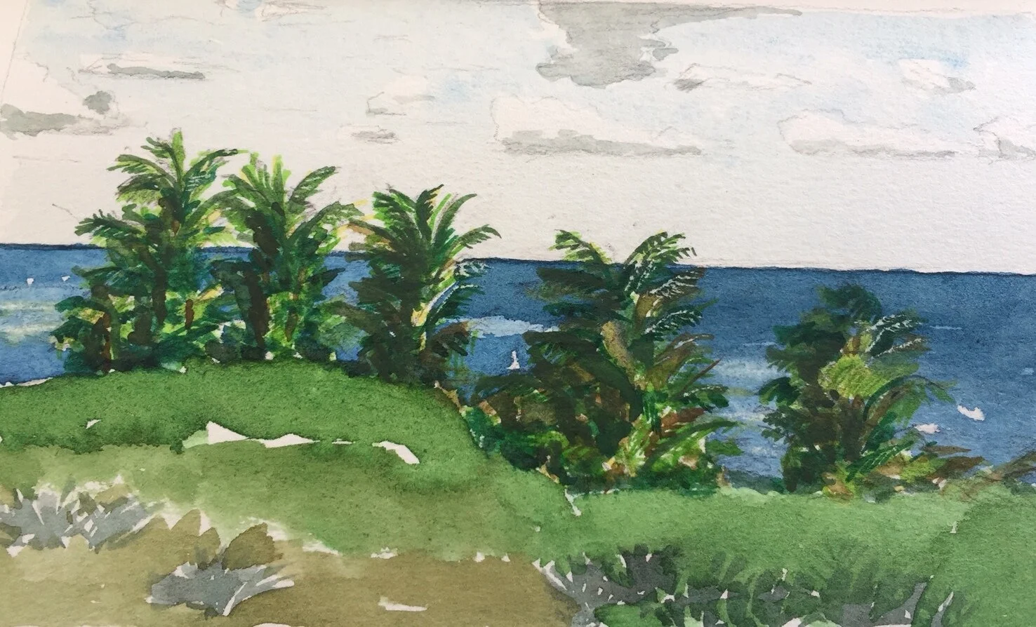 Looking North From the Atlantic Side of Little Harbor