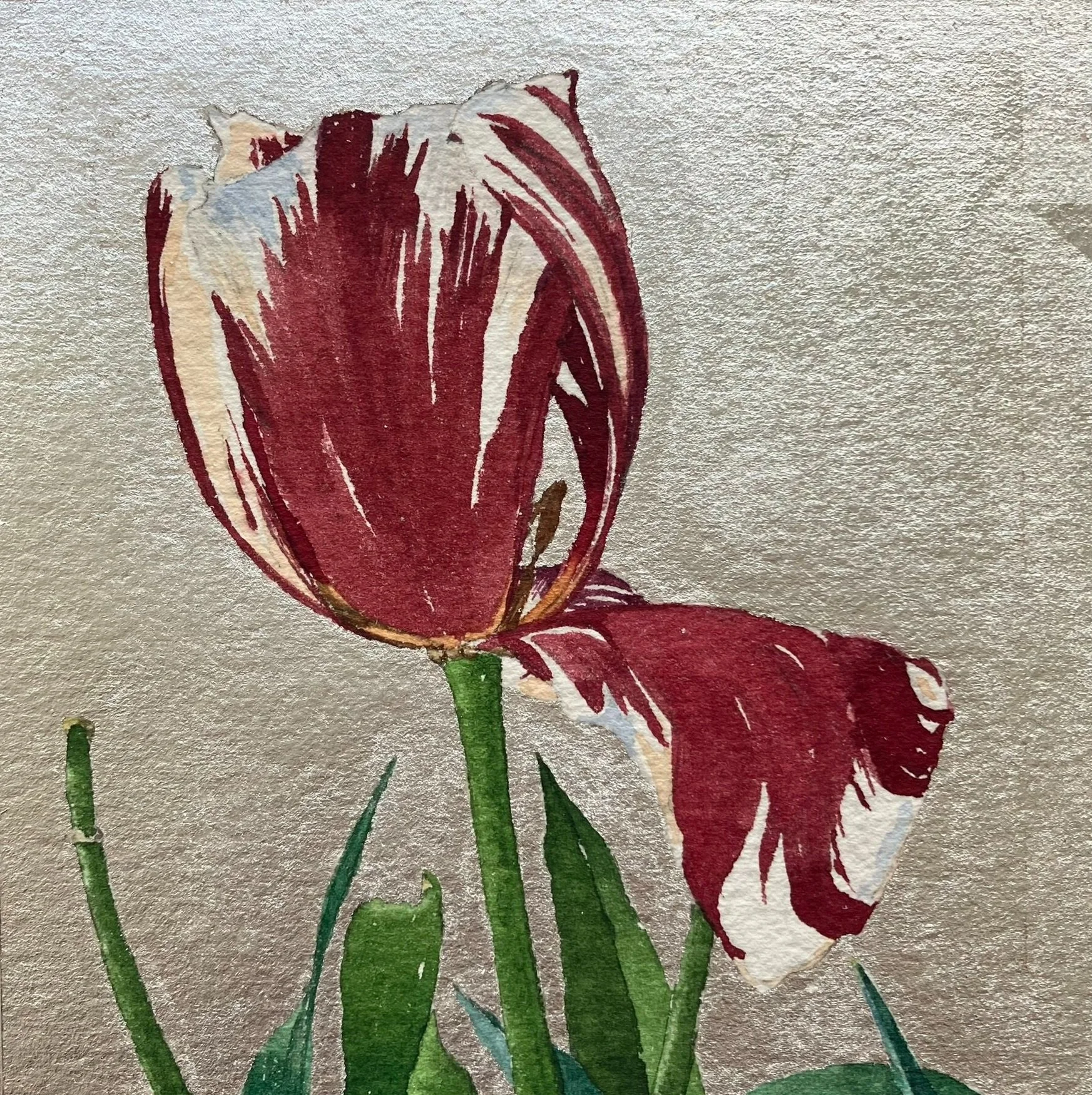 Homage to Tulipmania