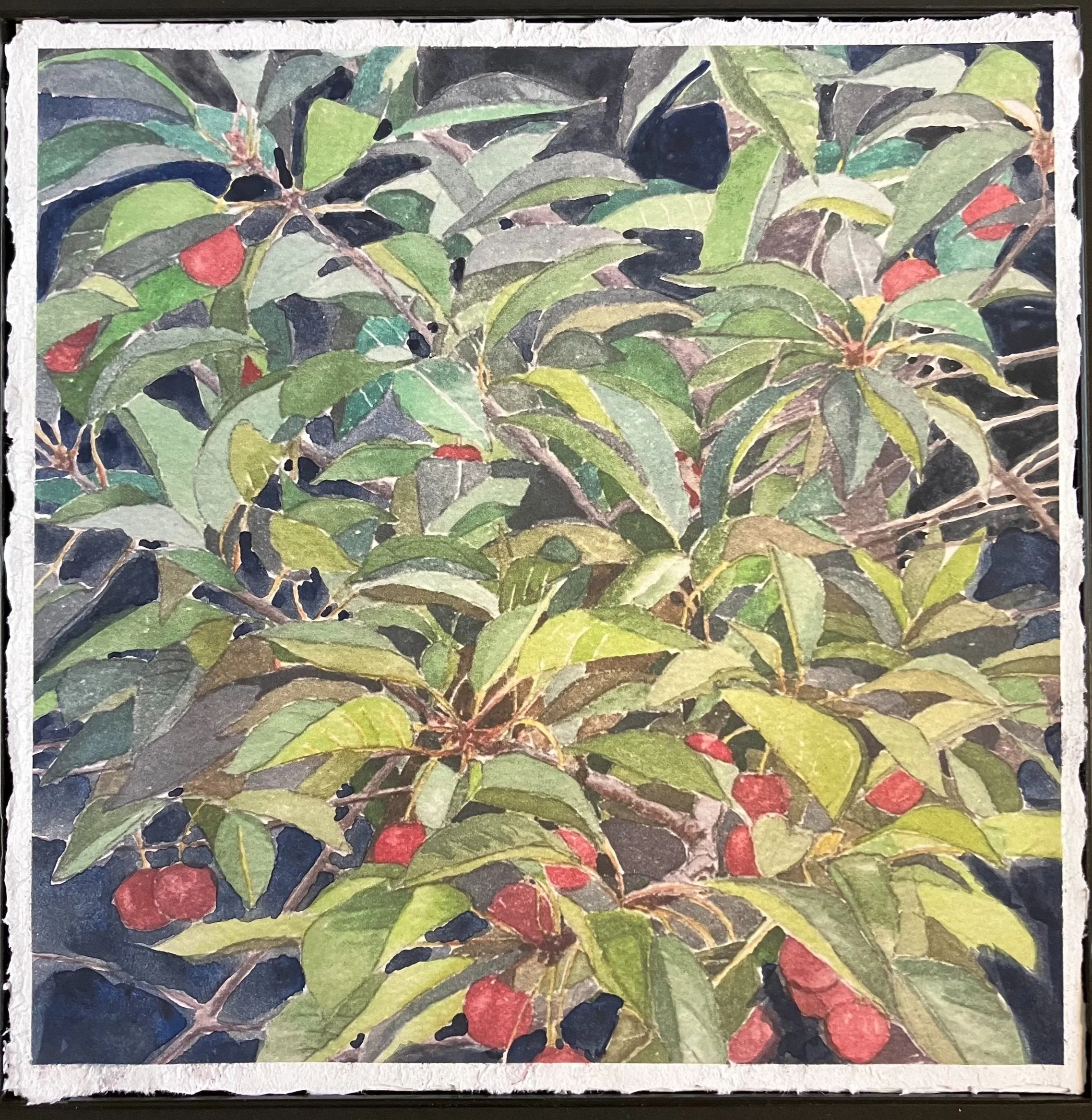 Worth More Than Sparrows (study II)
