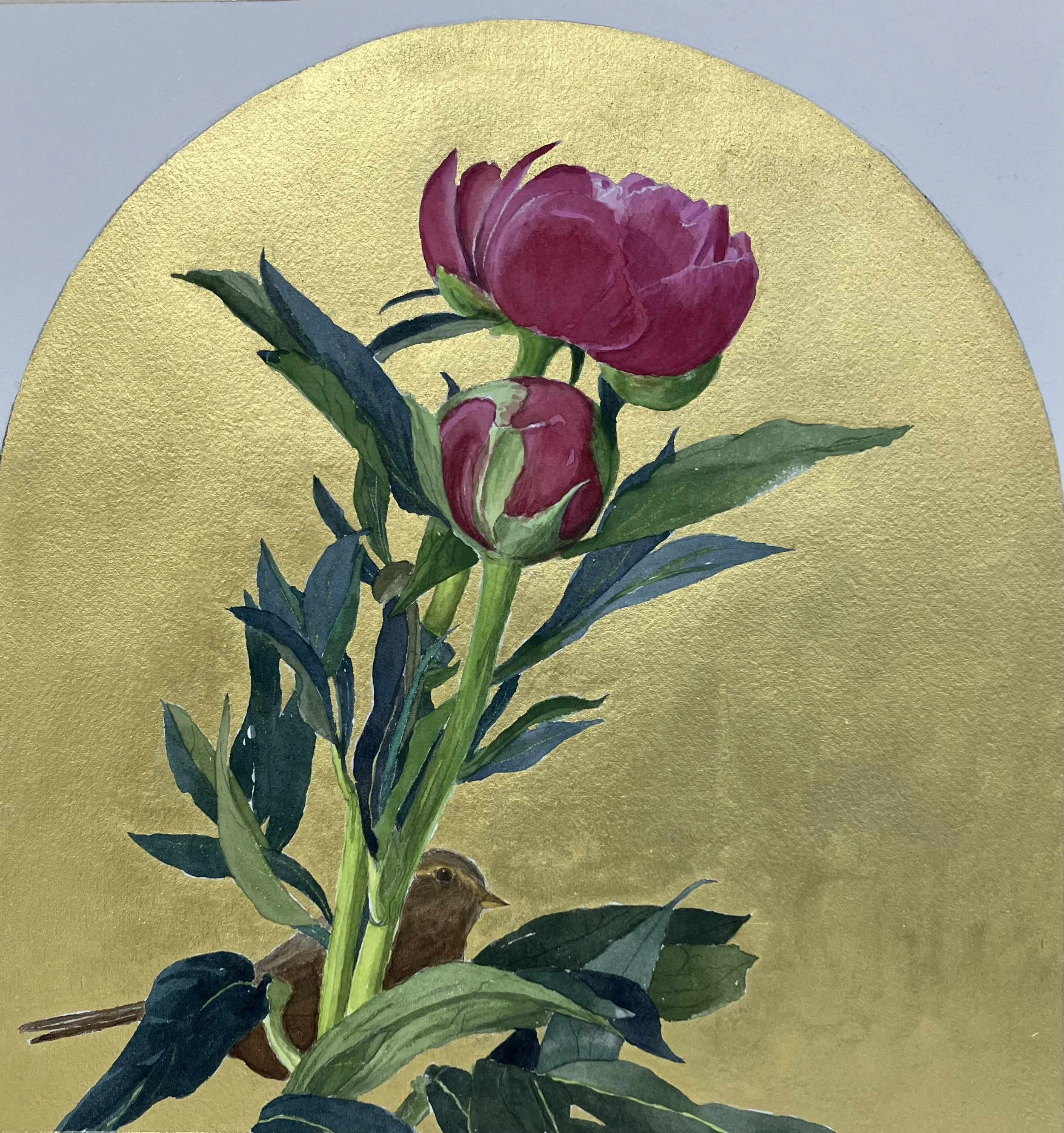 Two Peonies with Savannah Sparrow