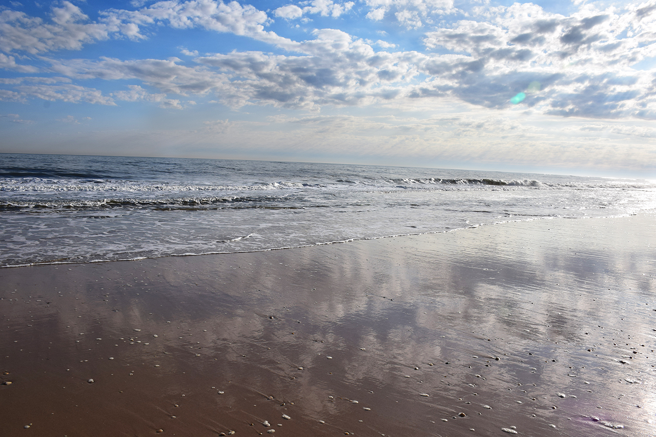 VS DSC_0127.jpg