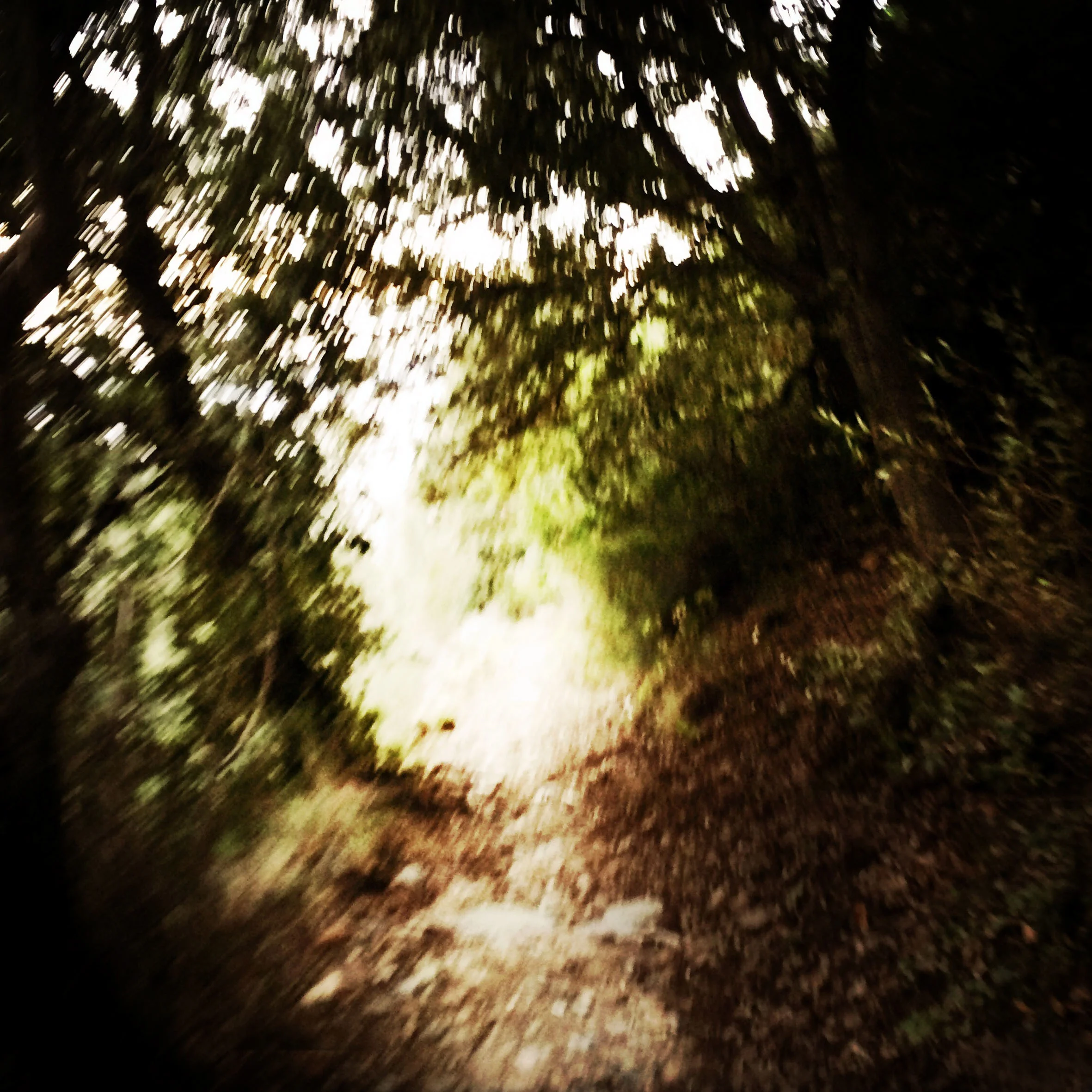 Fragment V3 07.jpg