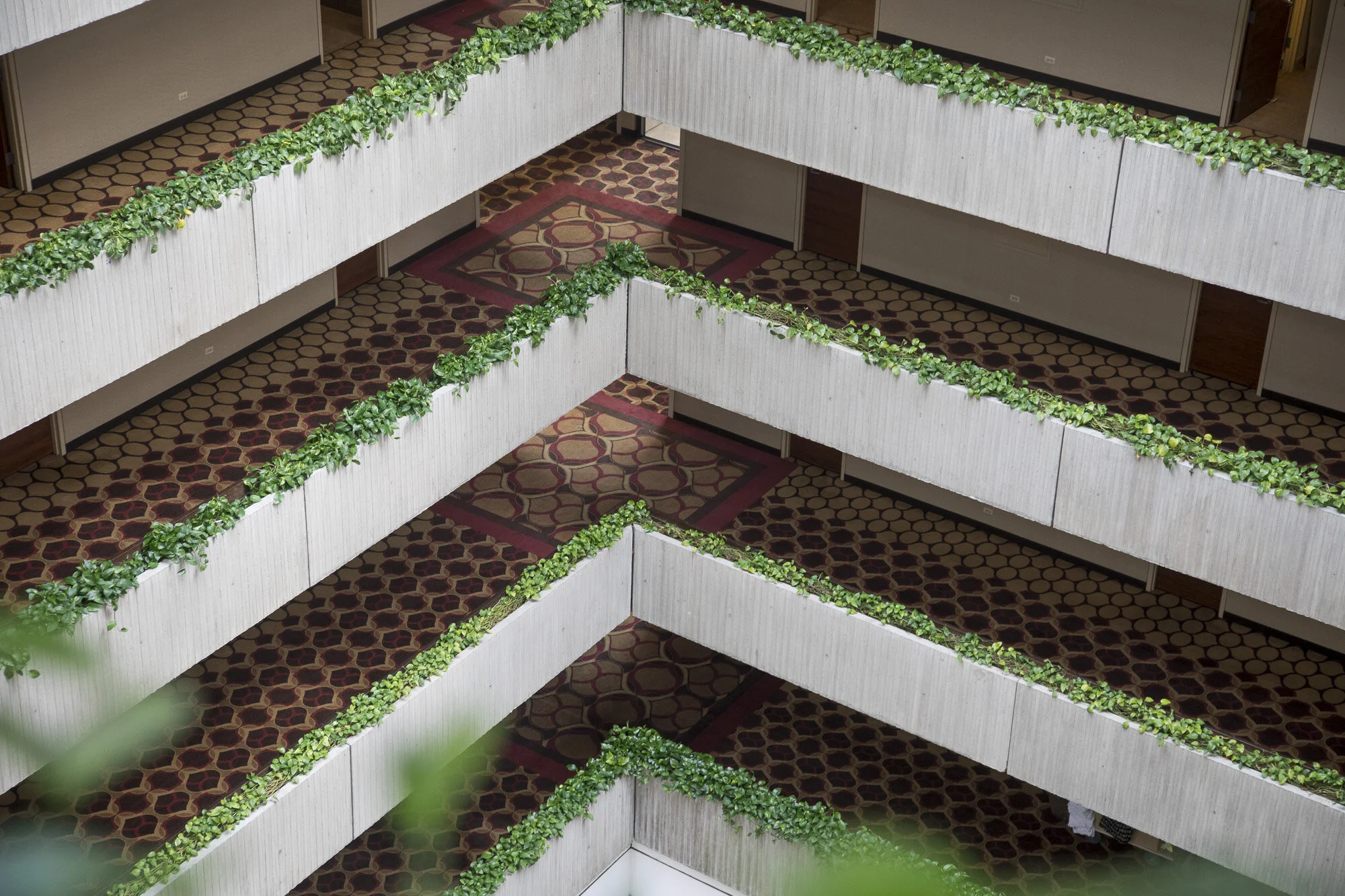 Assaf Evron, O'Hare 2018 2.JPG