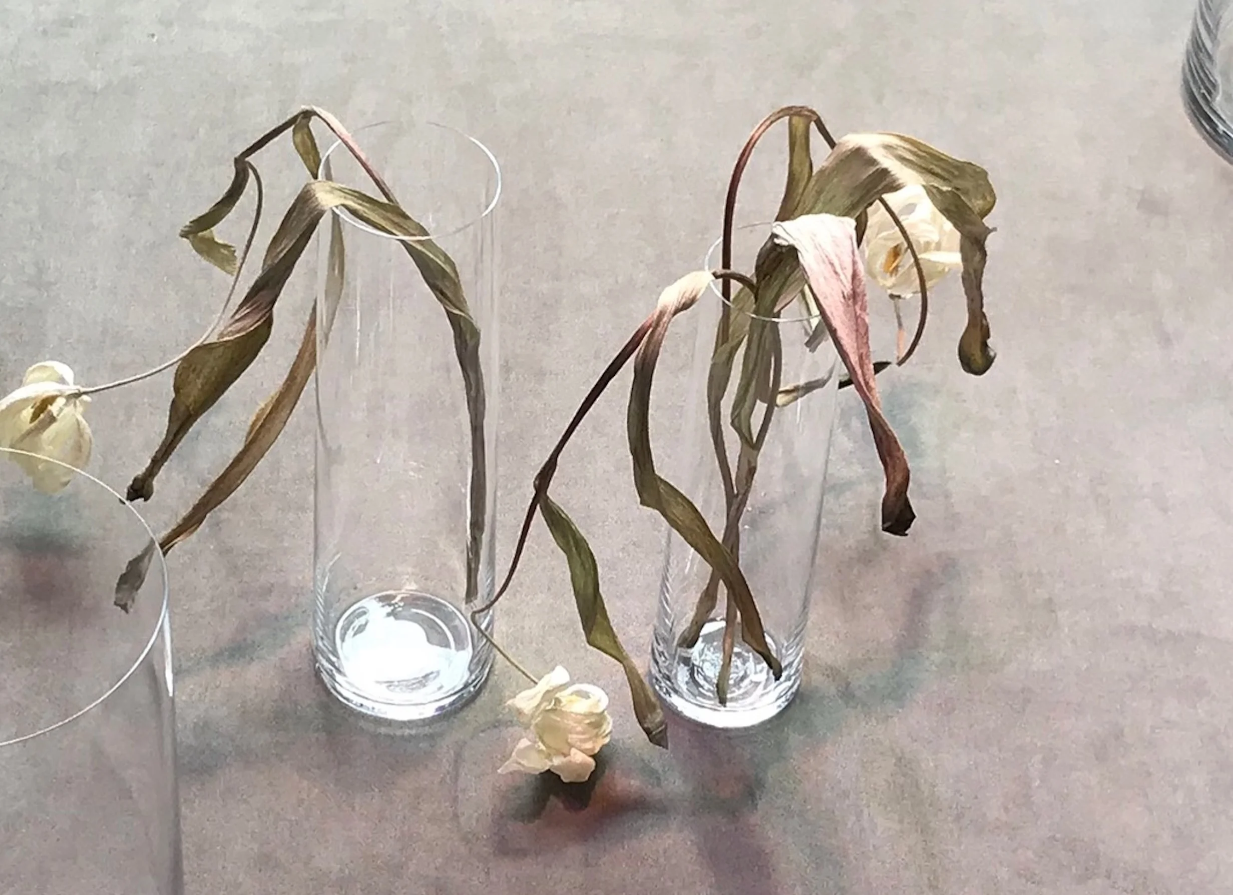 Deborah Ehrlich Vases.jpg