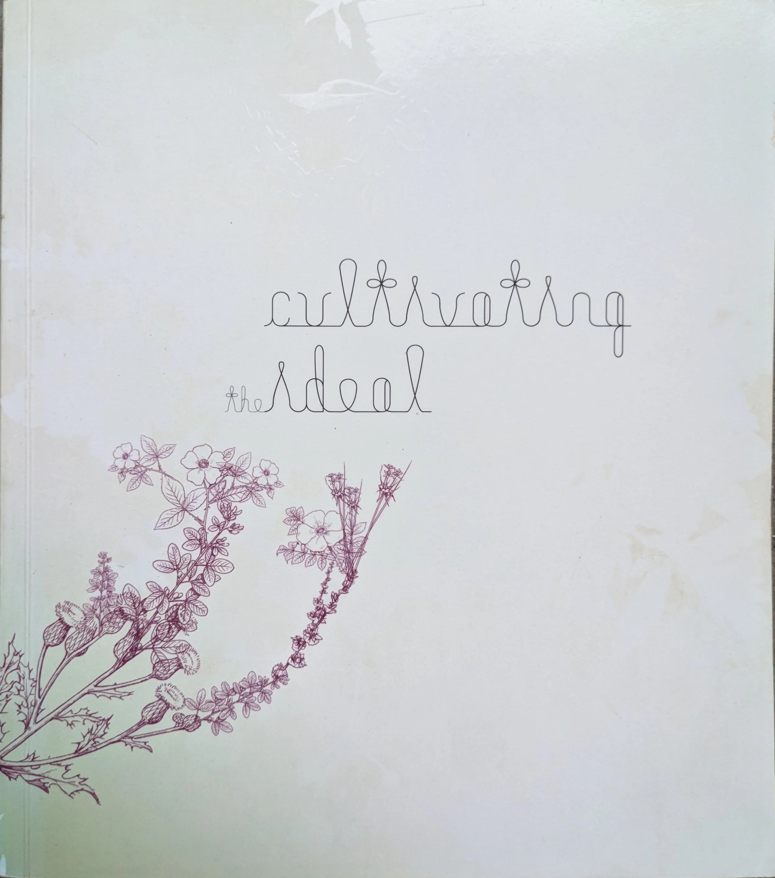 Cultivating the Ideal