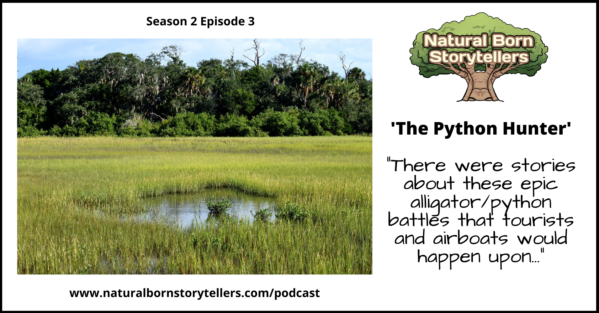 #33 The Python Hunter