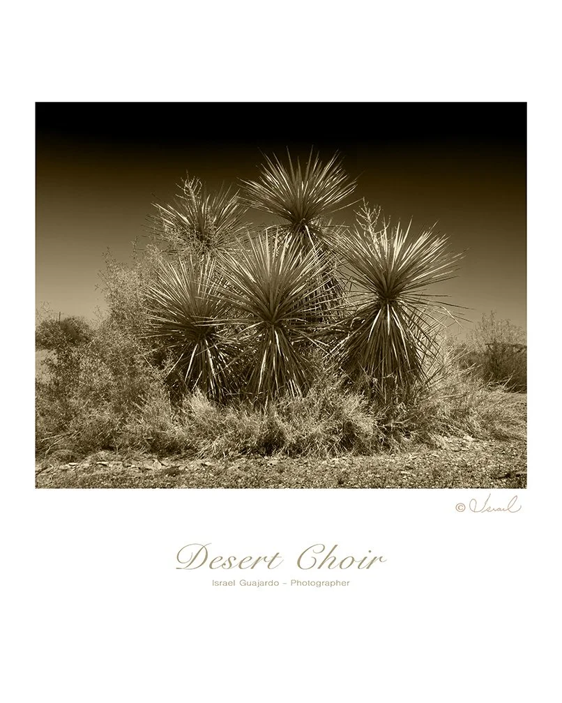 Desert Choir 20 by 16 octo-print.jpg