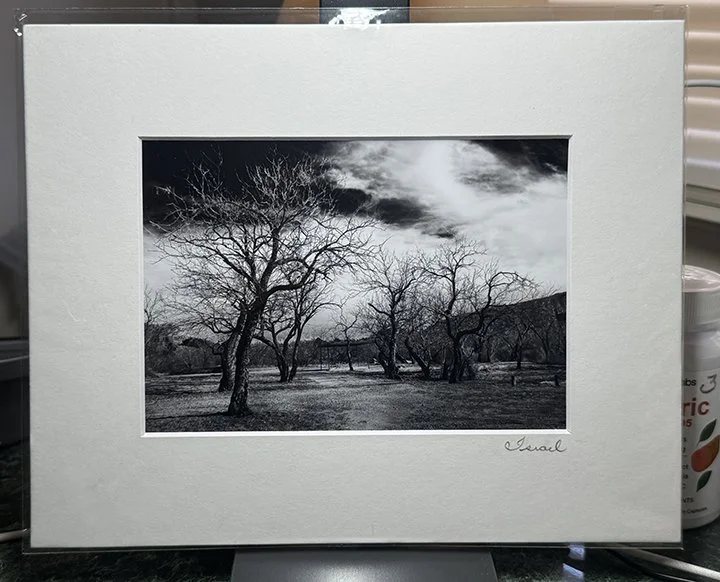 dancing witches a matted.jpg