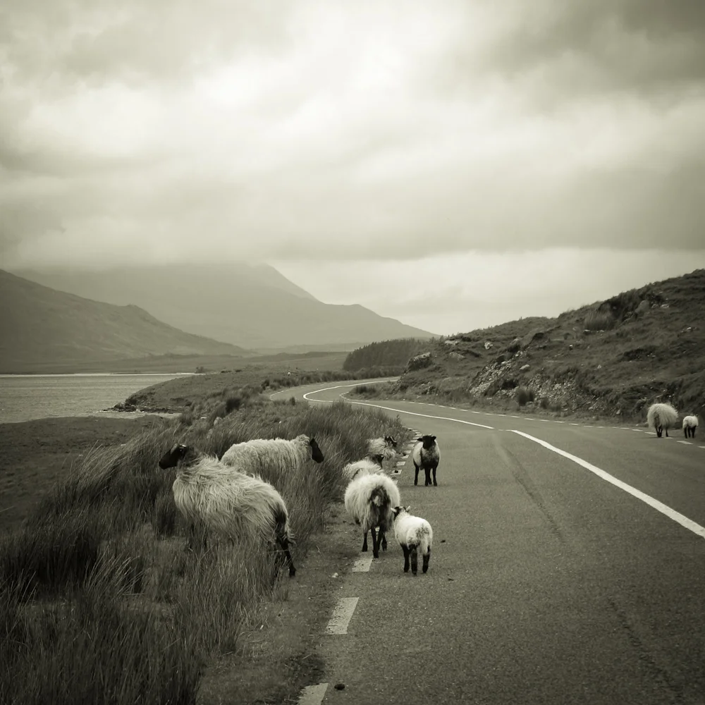 Kylemore, Connemara, Co. Galway, 2006