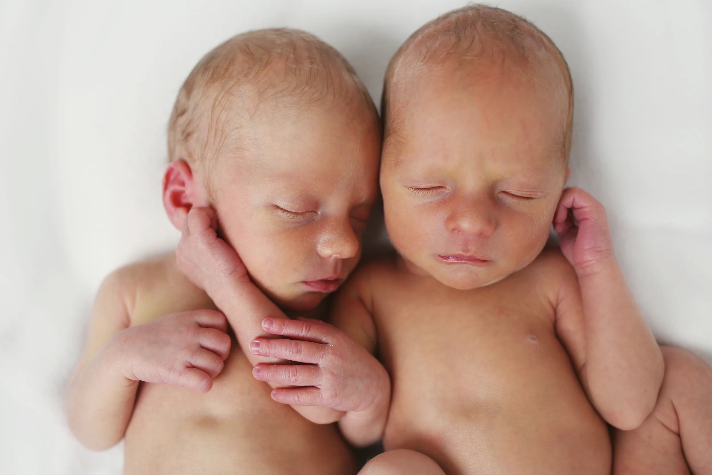 Nash&Beau34.jpg