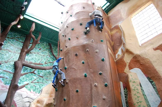 climbing-walls-inside.jpg