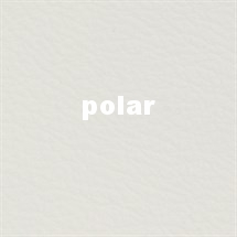 polar.jpg