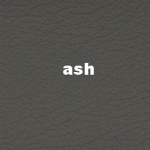 ash.jpg