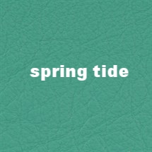 spring_tide.jpg