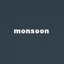 monsoon.jpg