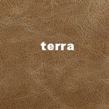 Leather-Distressed-Terra.jpg