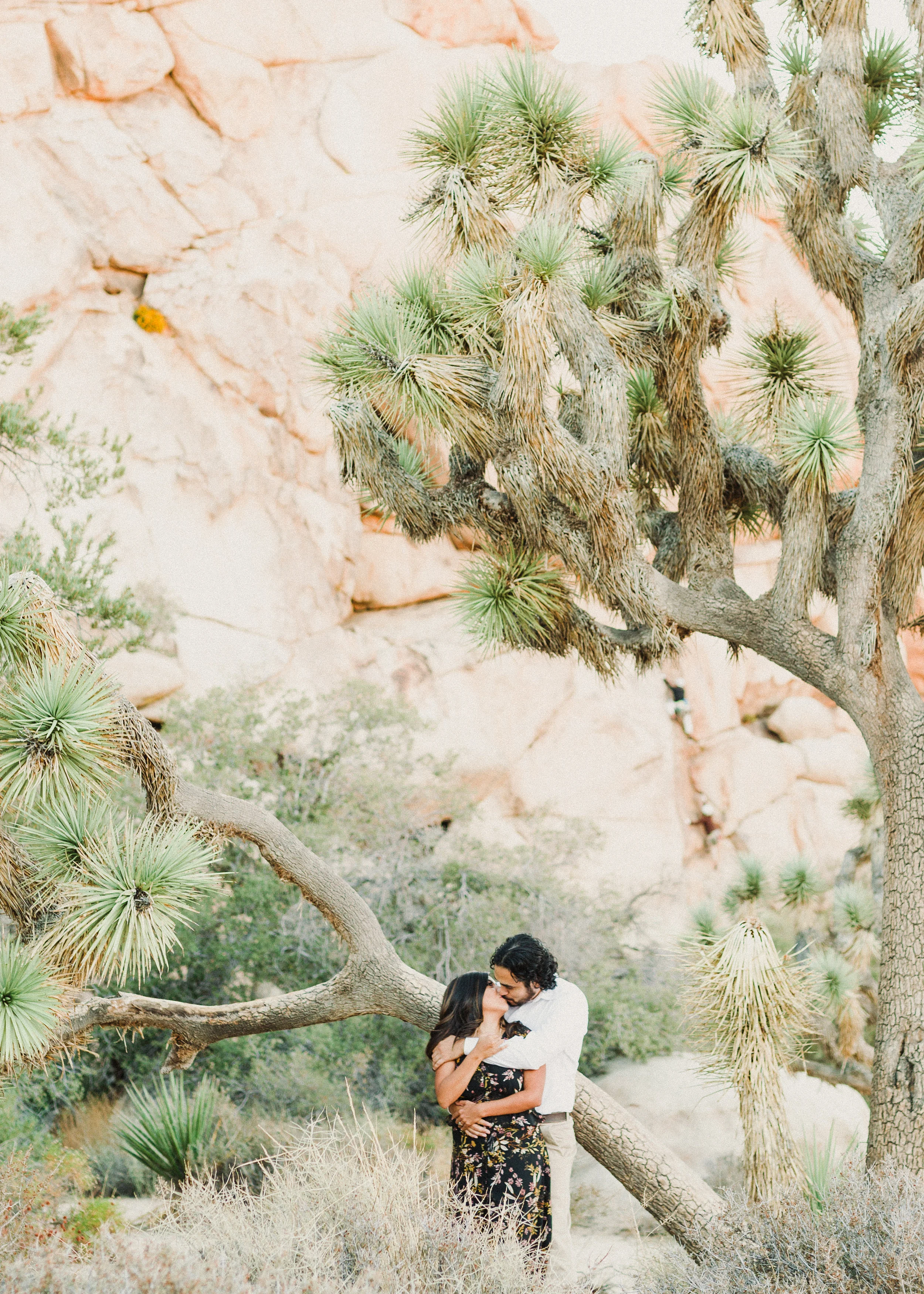 JOSHUA-TREE-HIGHLIGHTS-9.jpg