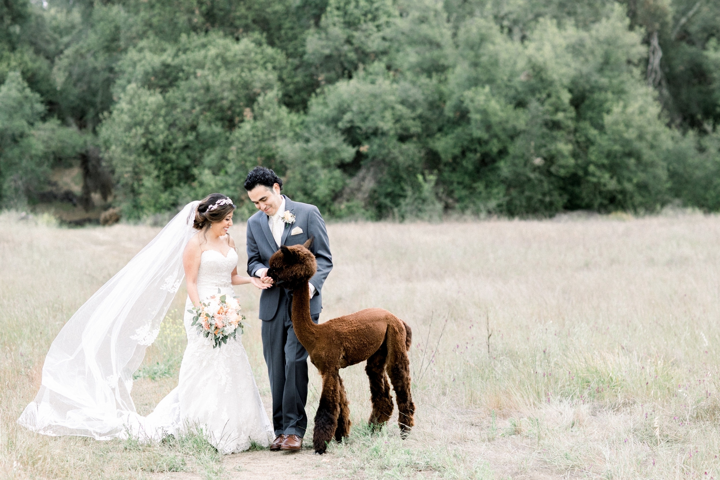 FOREVER-ALWAYS-FARM-WEDDING-FAVIO-NALLELI-SNEAK-PEEK-50.jpg