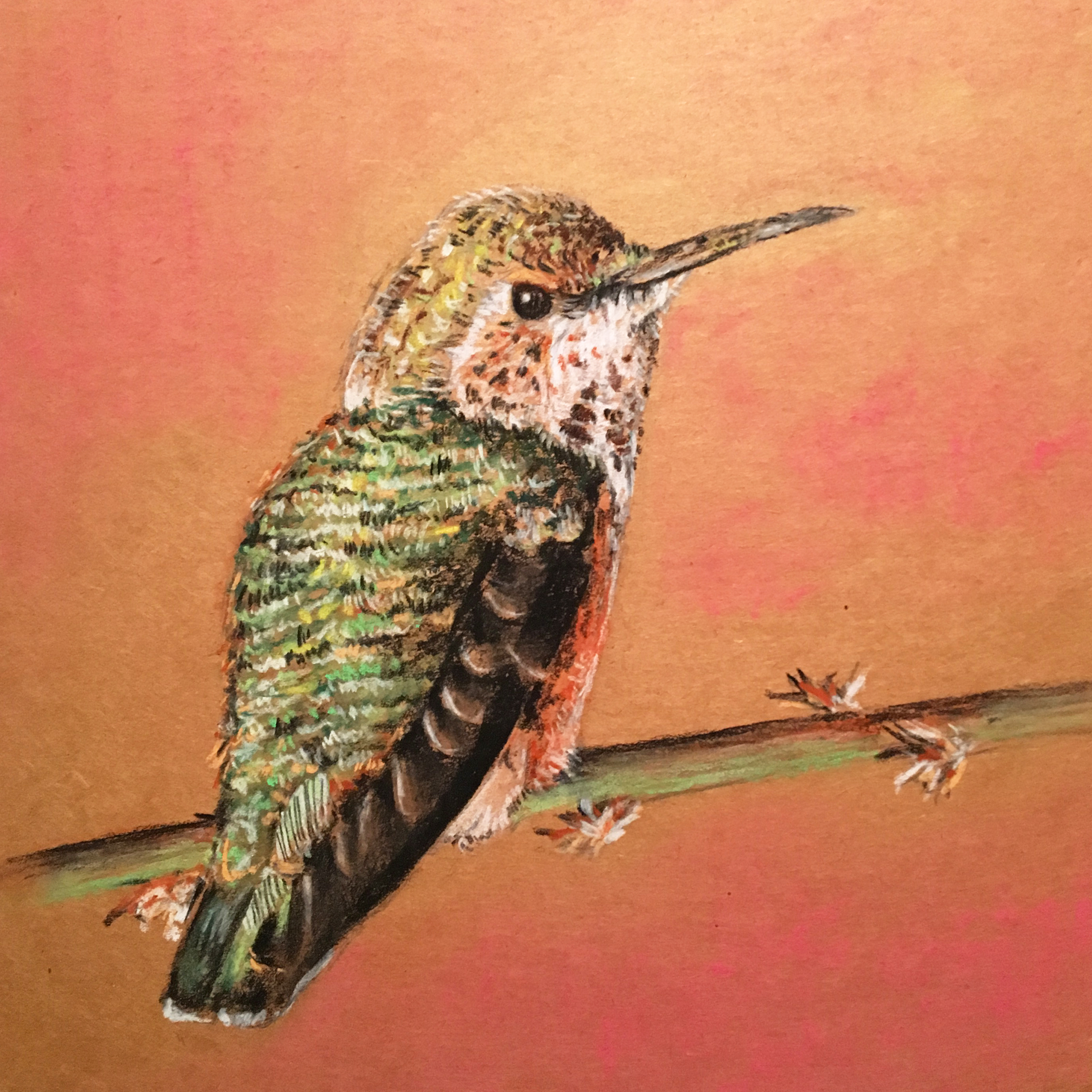 Cardboard Art, Chalk Bird Illustration