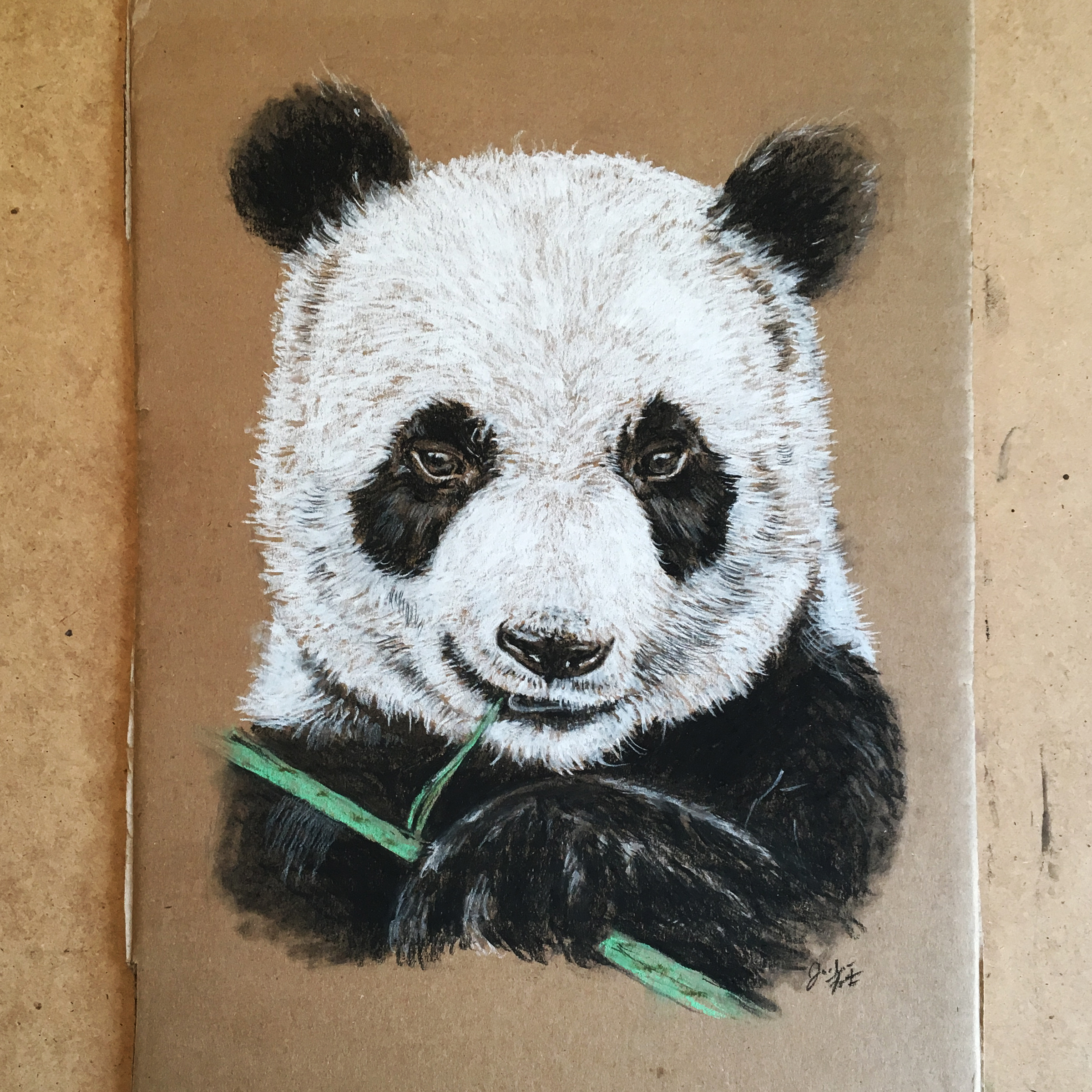 Cardboard Art, Chalk Panda Bear Illustration