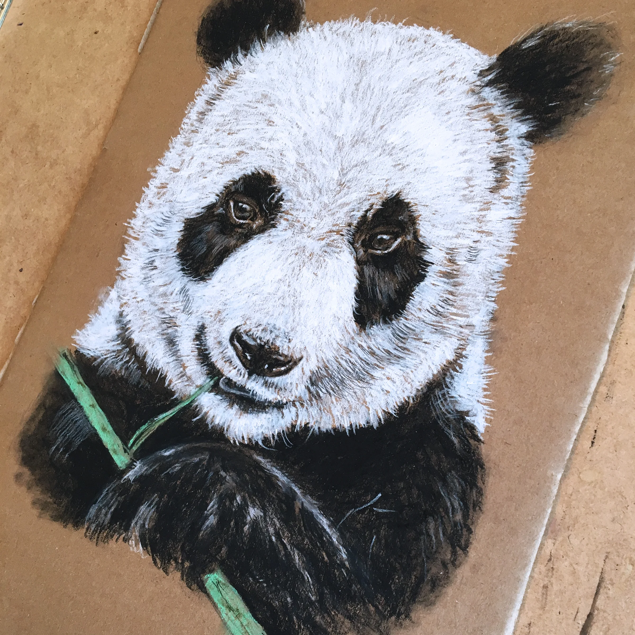 cardboard-art-charcoal-panda-sketch-by-jordan-fretz-3.jpg