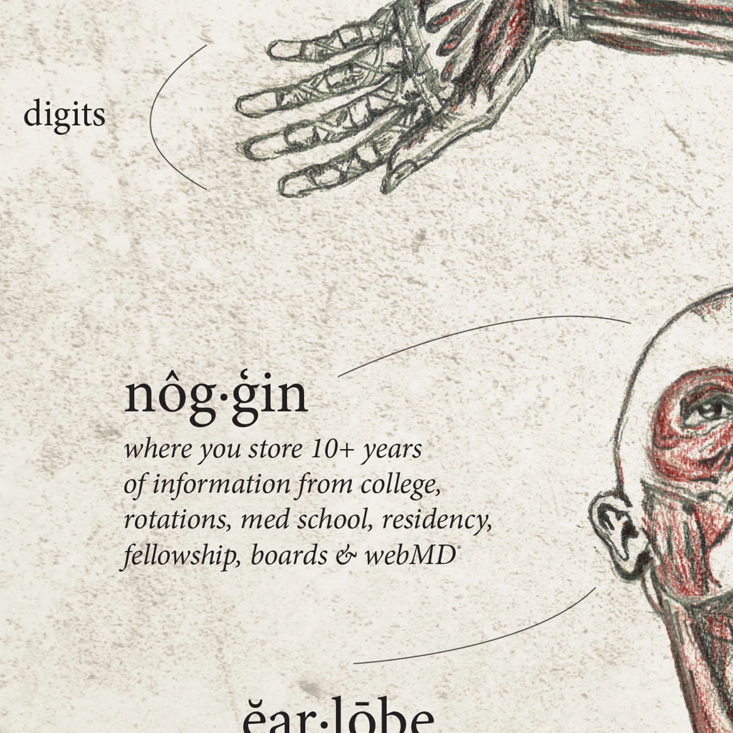 anatomy-drawing-2.jpg