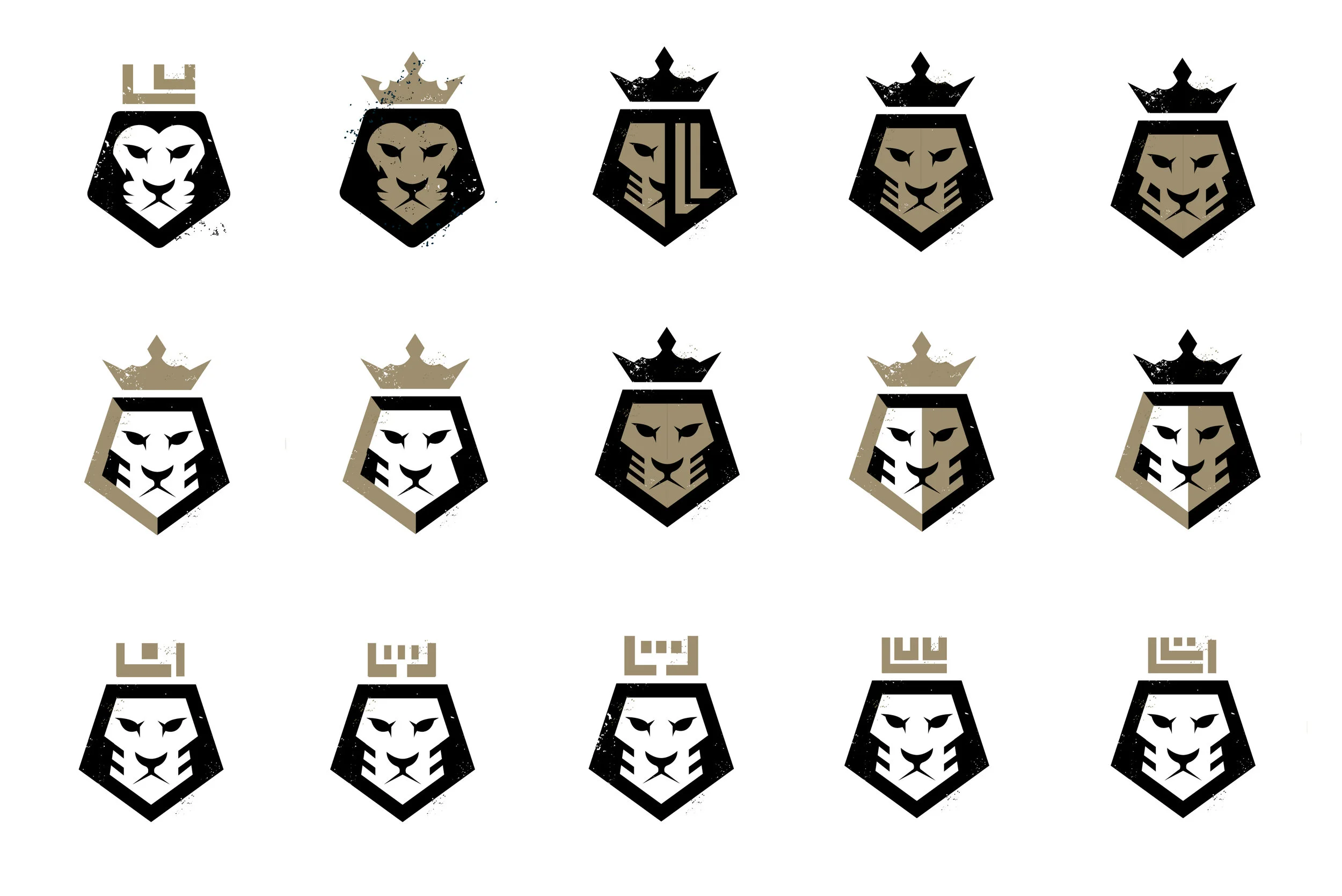 custom-soccer-academy-logo-design-evelolution-designs-by-jordan-fretz-1.jpg