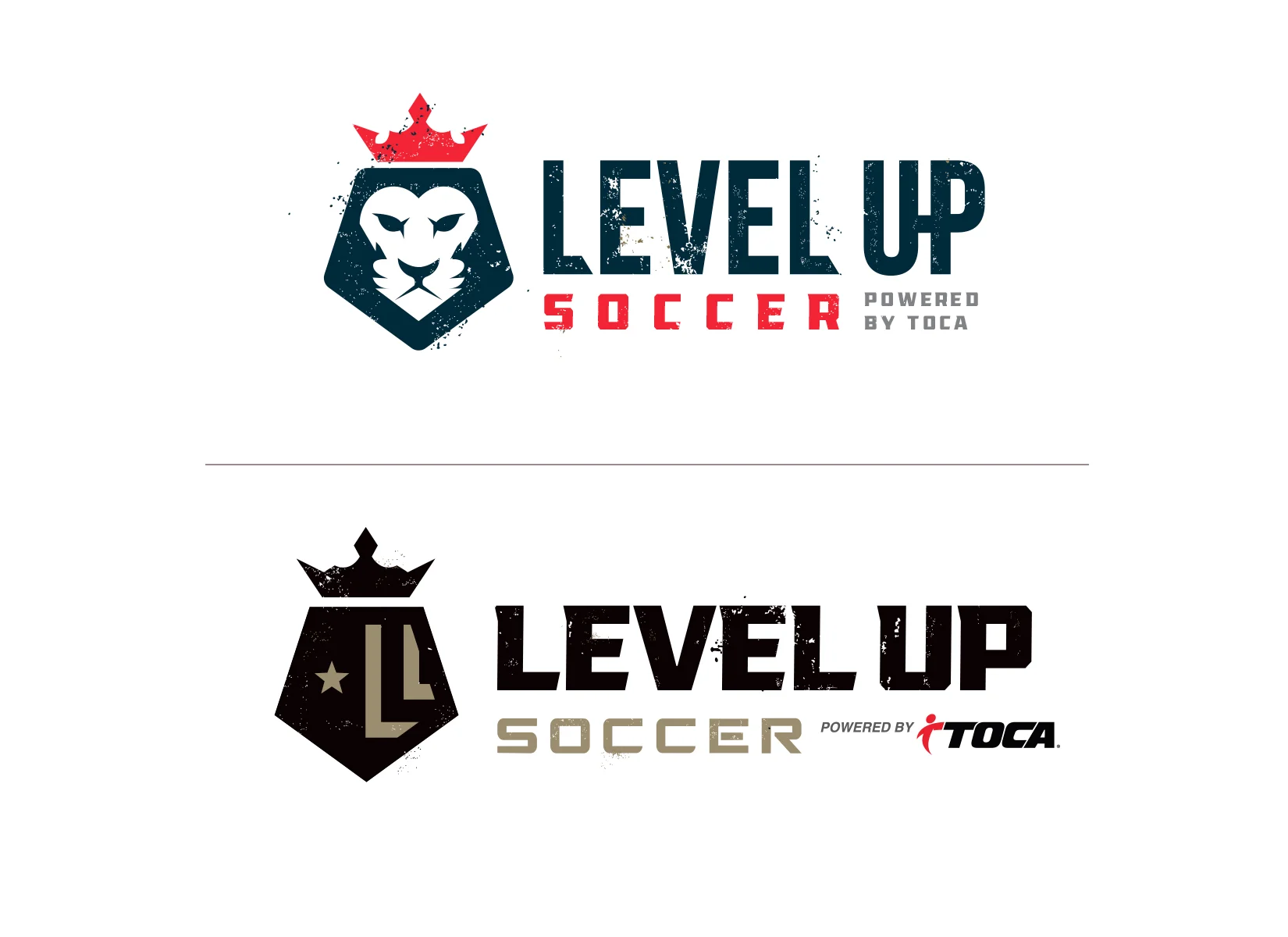jordan-fretz-design-custom-soccer-academy-logo-design-initial-concepts.jpg