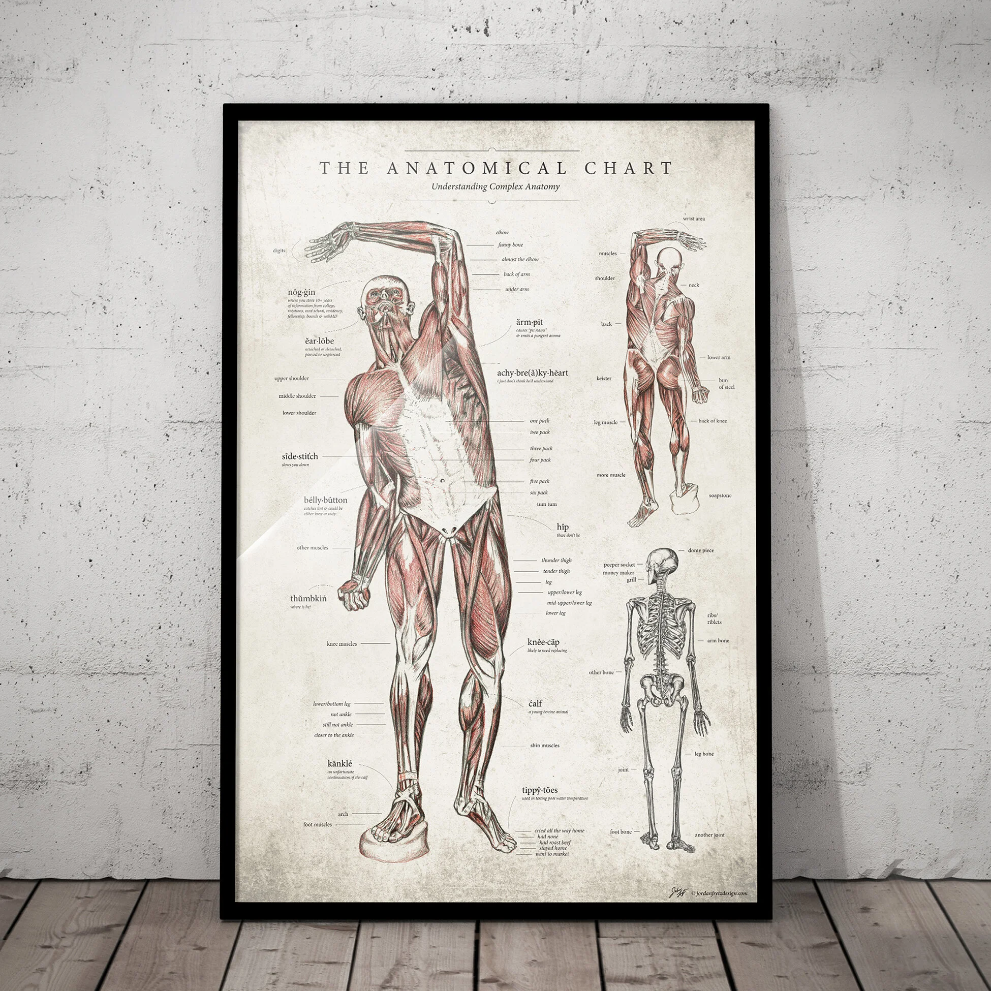 anatomy-drawing-1-1.jpg
