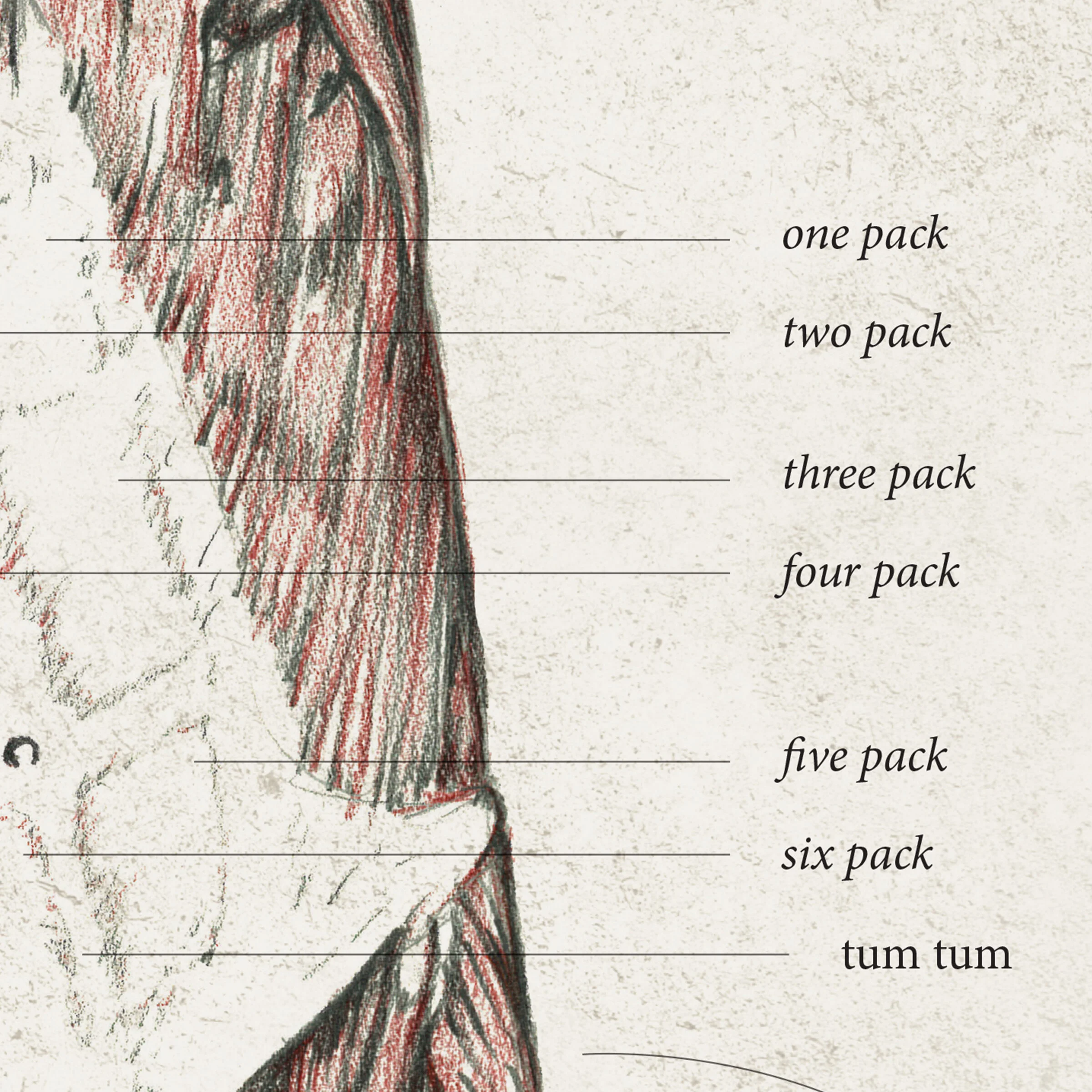 anatomy-drawing-3.jpg