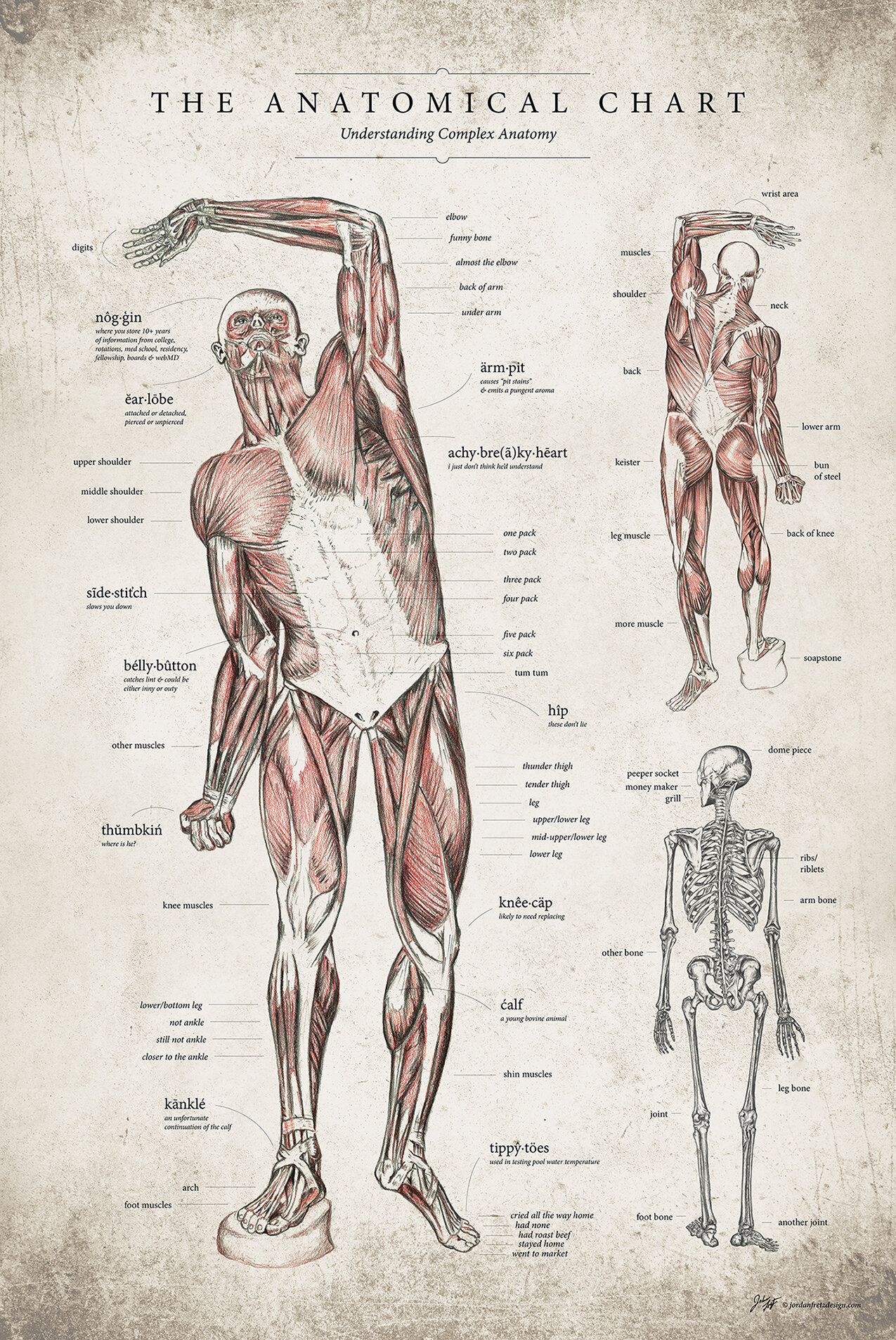 jordan-fretz-design-anatomical-poster-parody-posters-1.jpg