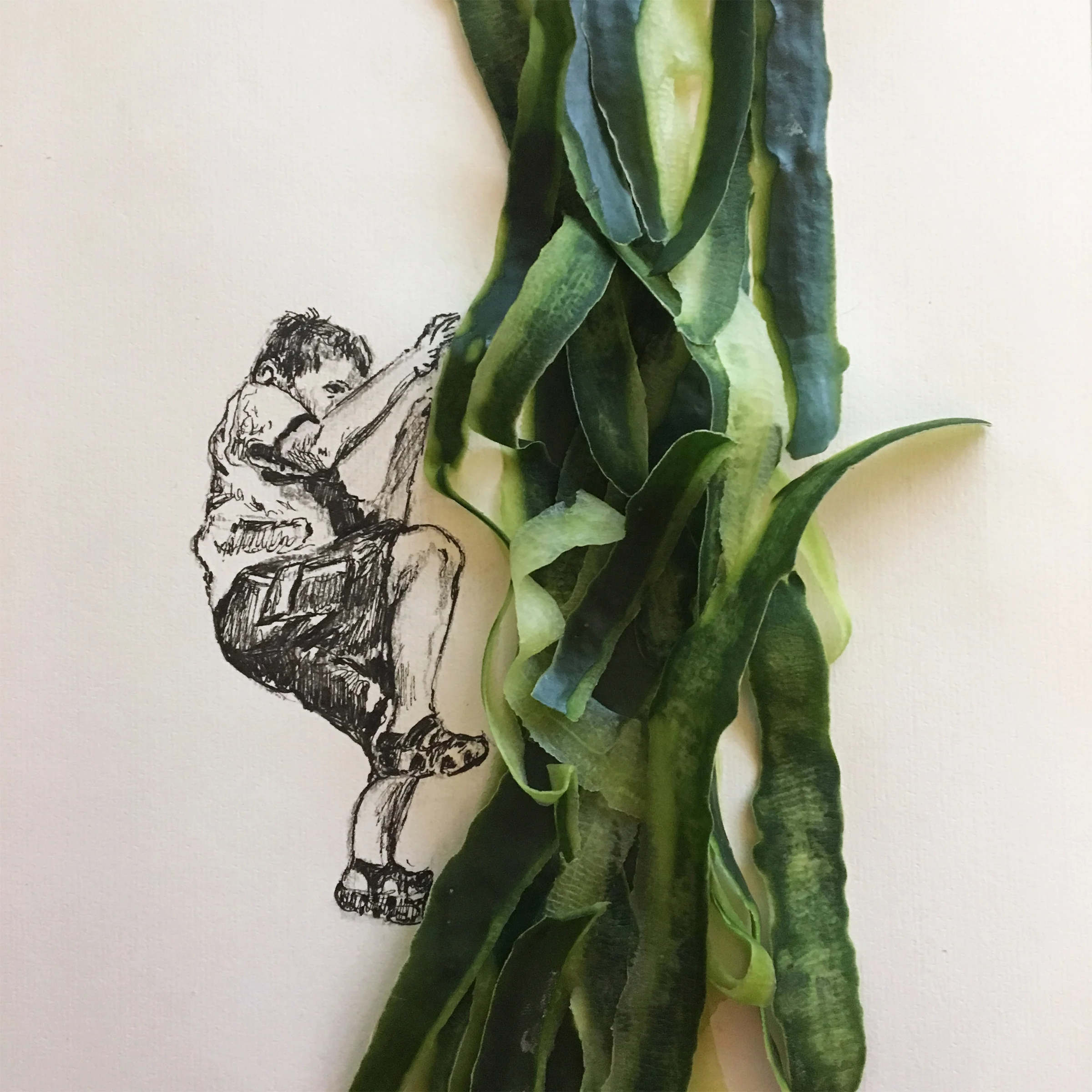 Jack and the cucumber peels stalk 3.jpg