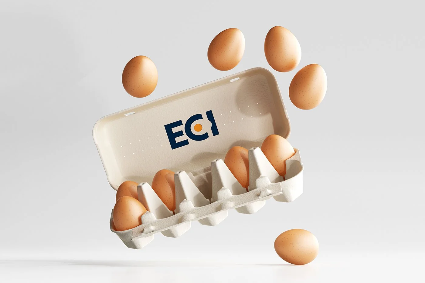 egg carton.jpg