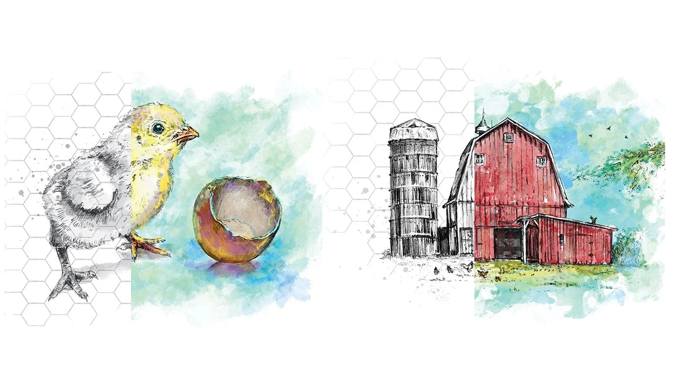 Watercolor-style-freelance-egg-industry-illustration-1.jpg