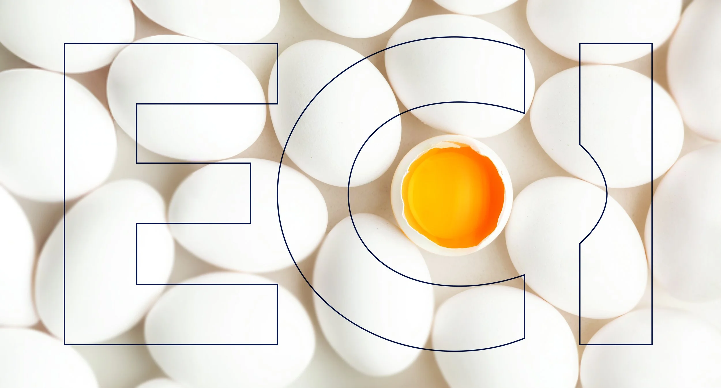 Egg-logo-design-mockup-jordan-fretz-2.jpg