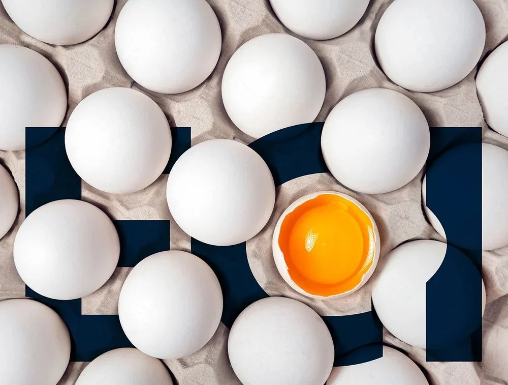 ECI-Egg-Clearinghouse-Inc-Logo-design-by-jordan-fretz-FNL3-s2.jpg