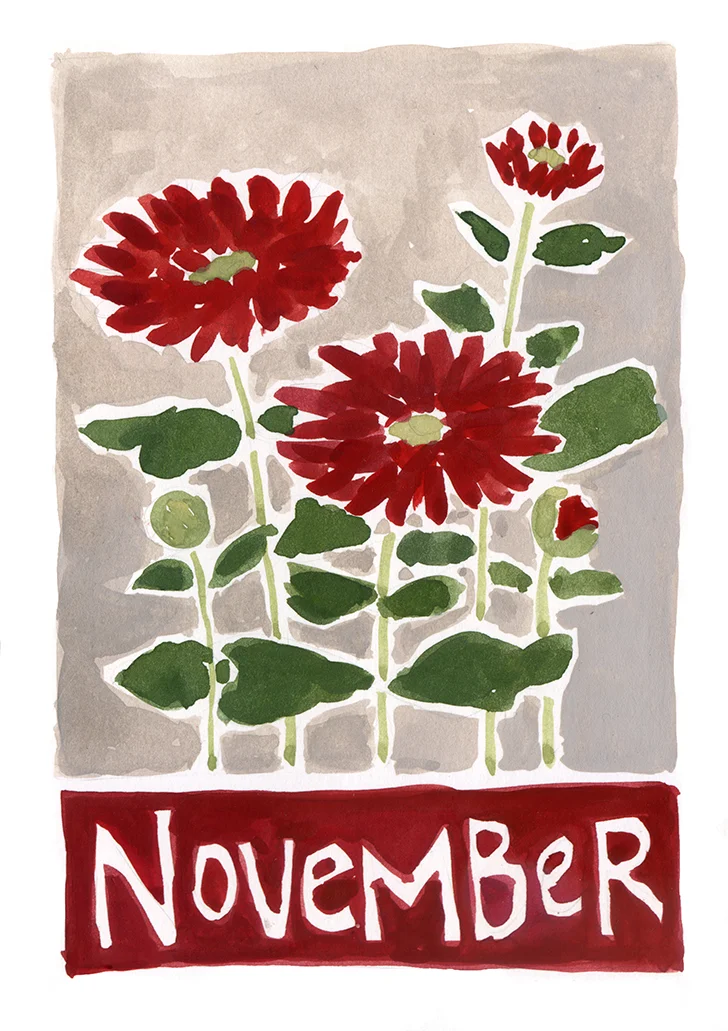 Chrysanthemums