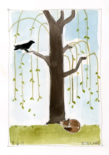 The Crow & The Fox