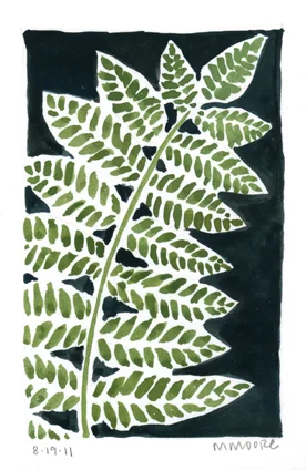 Fern