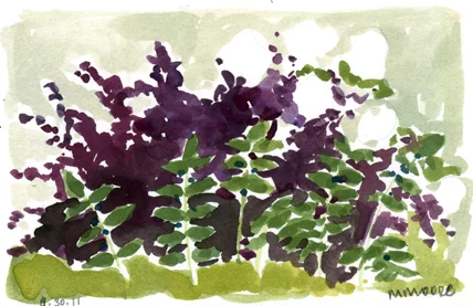 Corner Garden