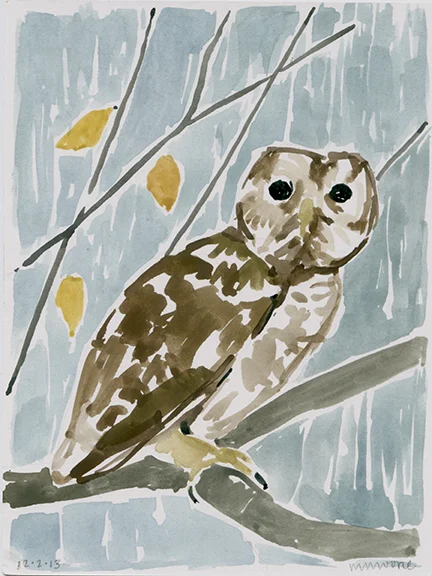 Owl in the Rain