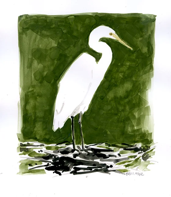 Great Egret