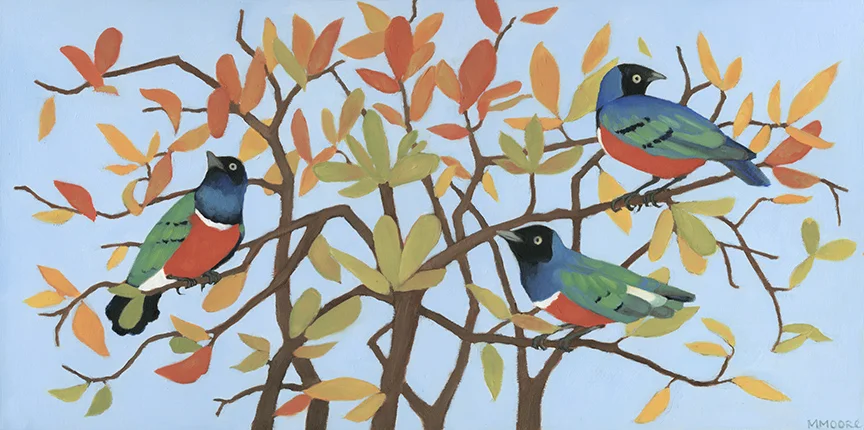 Superb Starlings of East Africa