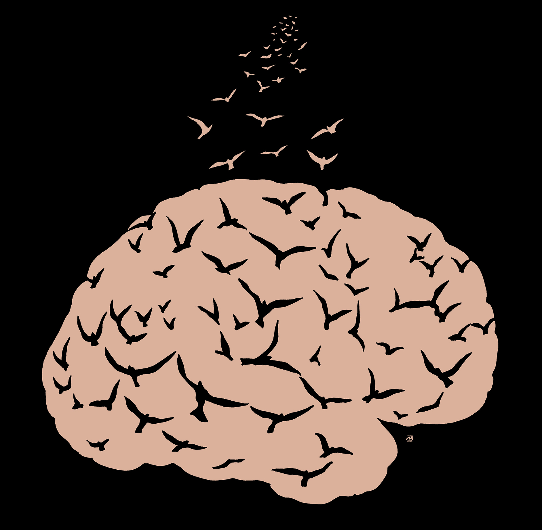 Hjerneflukt/Brain drain