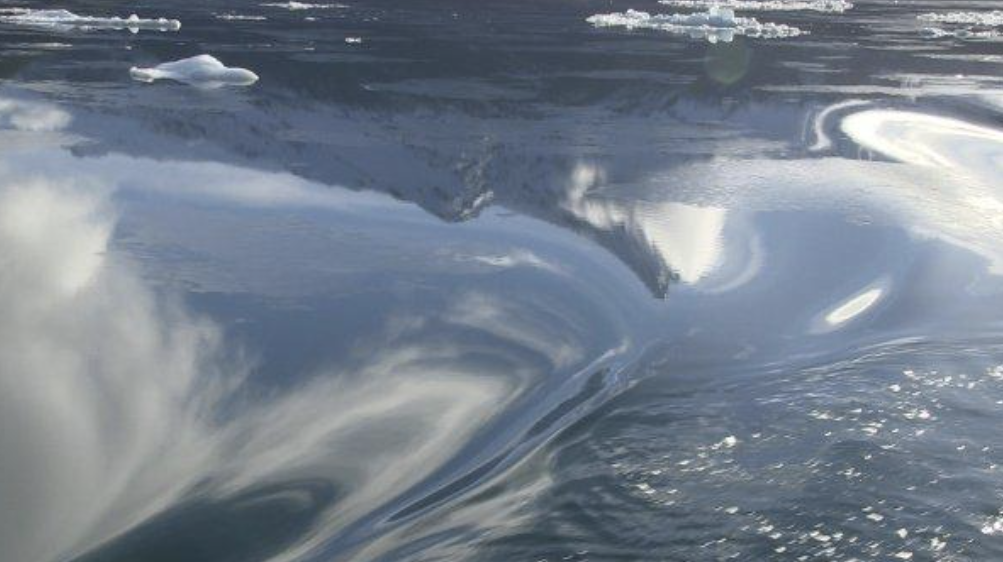 Waves of Memory: Water, History, and Resistance in Patricio Guzmán's "The Pearl Button"