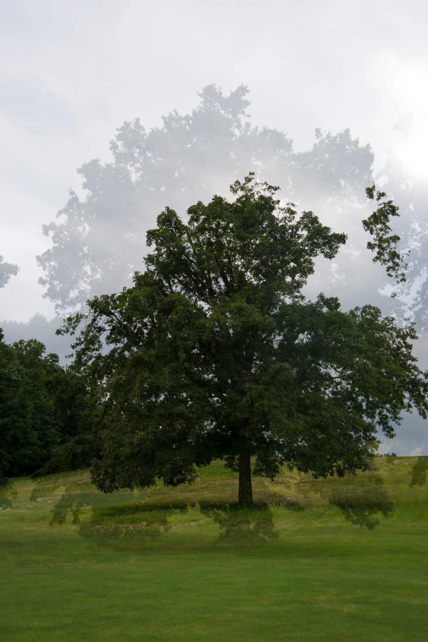 MULTIPLE-3.jpg
