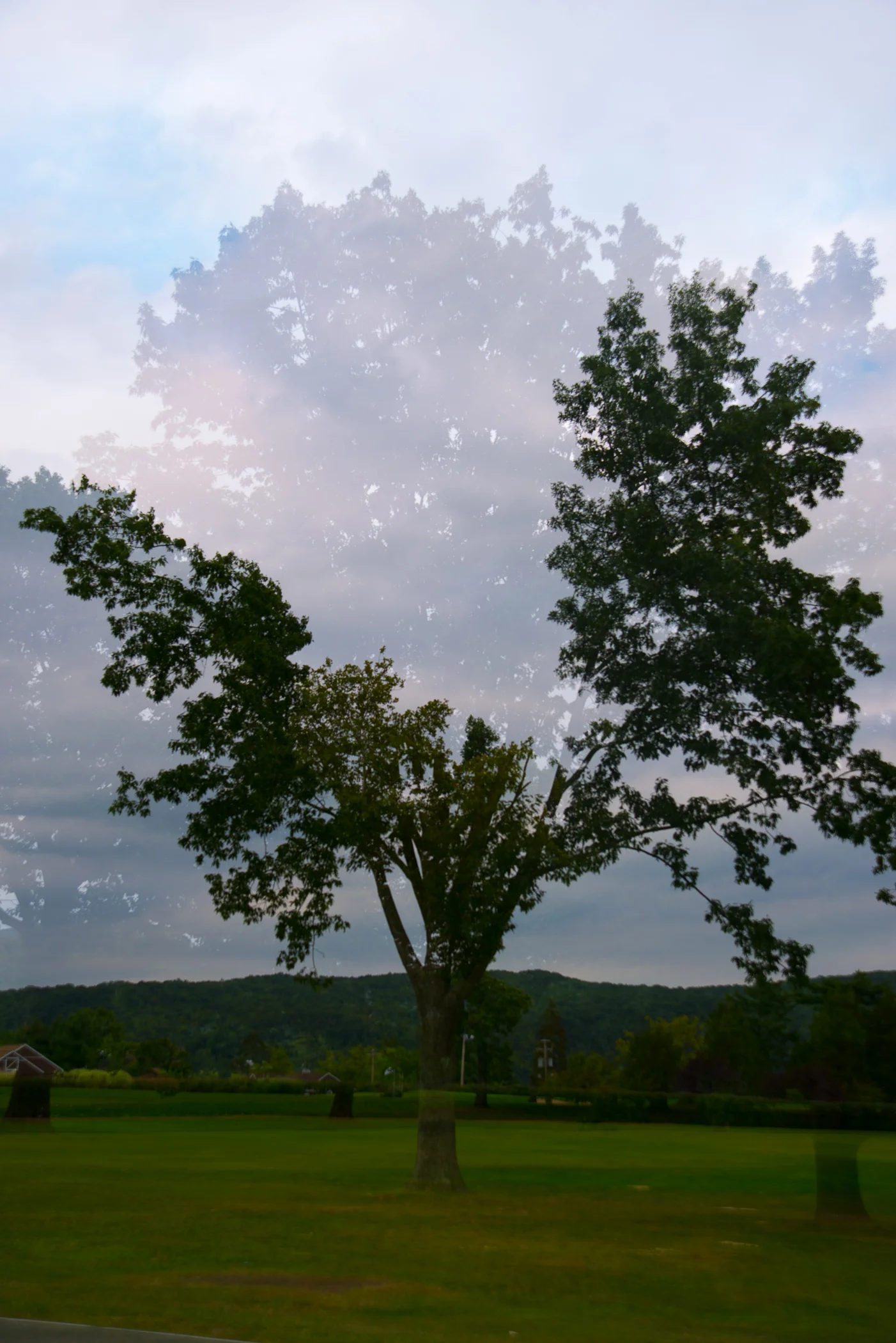 MULTIPLE-4.jpg