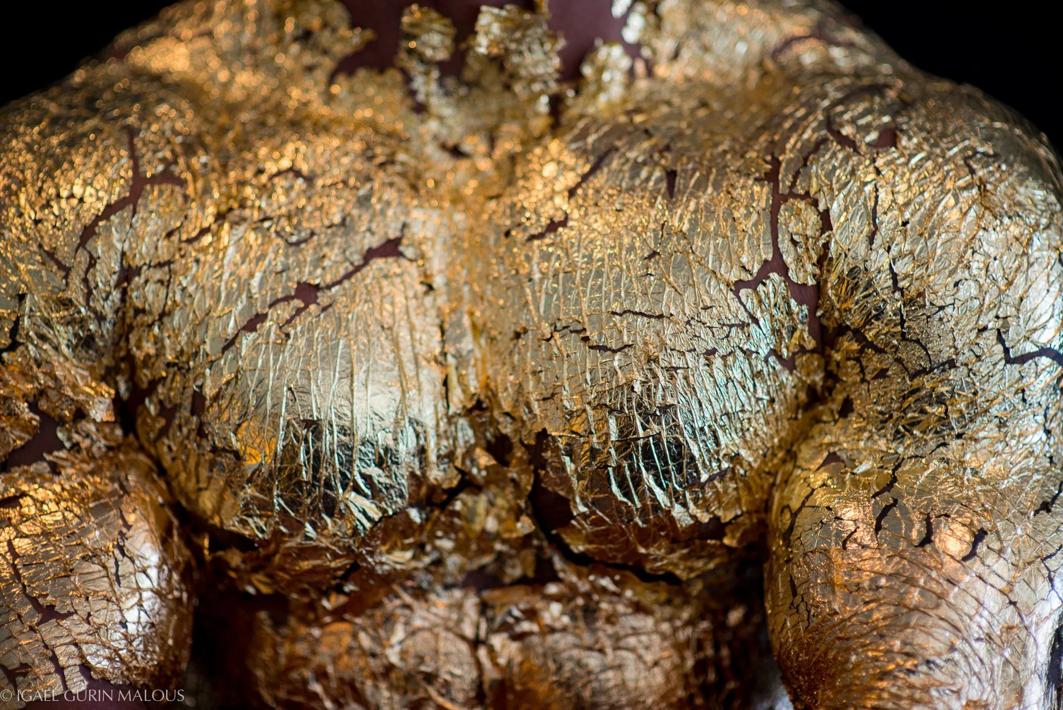 Brad_Gold_Sep_14-13.jpg